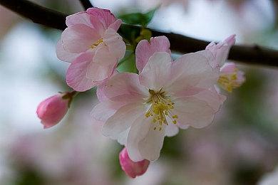 《华纳大乱斗》游戏总监：数据挖掘者正在伤害玩家